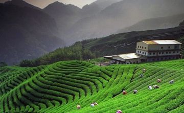 KAUSANI UTTRAKHAND TOUR PACKAGE 4N/5D BY NORTH STAR TRAVELS