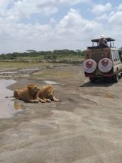 3 Days 2 Nights Arusha Vacation Package