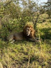 4 Days Unique Masai Cultural and Experience Safari