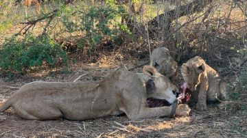 3 Days Memorable  Cultural Expedition Safari