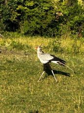 3 Days Memorable  Cultural Expedition Safari