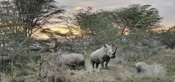 3 Days Memorable  Cultural Expedition Safari