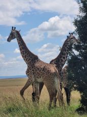 3 Days Memorable  Cultural Expedition Safari