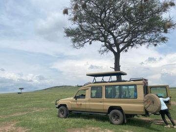 3 Days 2 Nights Unforgettable Masai Mara Safari