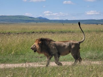 3 days Amboseli Peaks, Wildlife, Maasai Culture Adventure