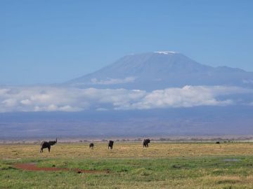 Wildlife Odyssey Mara, Naivasha, Amboseli Adventure