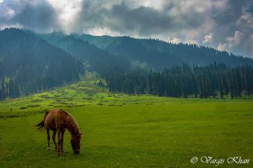 6 Days 5 Nights Kashmir Couple Tour Package by Innline Tour and Travels