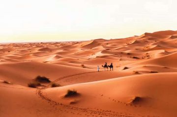 5 Days 4 Nights Desert Tour Package by Get Marrakech