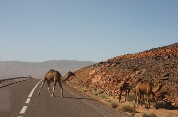 5 Days 4 Nights Desert Tour Package by Get Marrakech