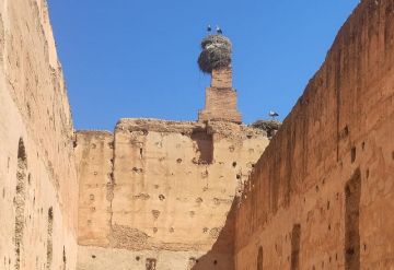 Morocco Tours from Casablanca by Sahara Desert