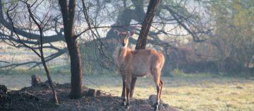 Best 2 Days Bharatpur Culture and Heritage Tour Package