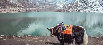 Gangtok Family Tour Package for 6 Days from Bagdogra