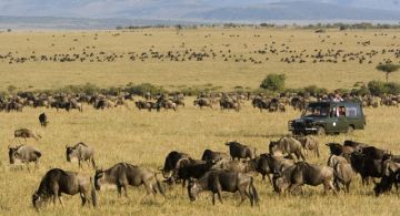 7 Days 6 Nights Nairobi to Maasai Mara Wildlife Holiday Package