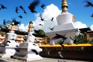 11 Days Siliguri to Darjeeling Holiday Package