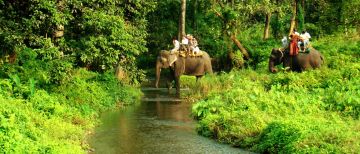 4 Days 3 Nights Kumai Weekend Getaways Tour Package