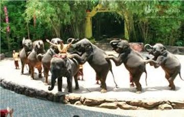 Experience 9 Days 8 Nights Malaysia, Singapore and Thailand Holiday Package
