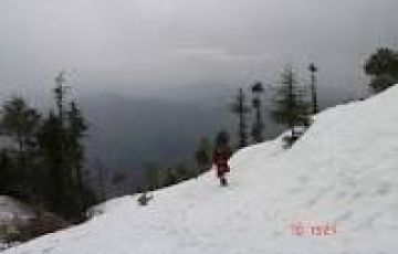 Family Getaway 4 Days Manali with Shimla Hill Trip Package