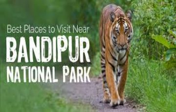 5 Days 4 Nights Mysore, Bandipur with Coorg Forest Tour Package