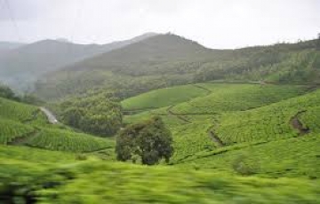 Ecstatic Munnar Hill Stations Tour Package for 3 Days from Cochin