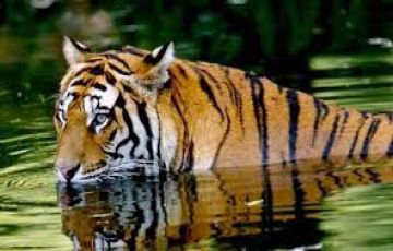 10 Days 9 Nights Delhi, Orachha, Khajuraho and Panna Park Friends Holiday Package