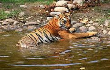 Experience 14 Days 13 Nights Delhi Tour Package