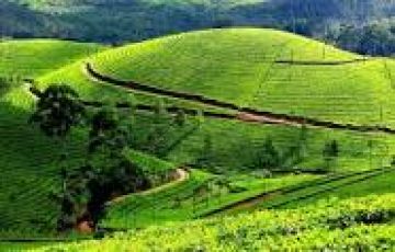 Memorable 2 Days Munnar Tour Package by Shivalik Holidays