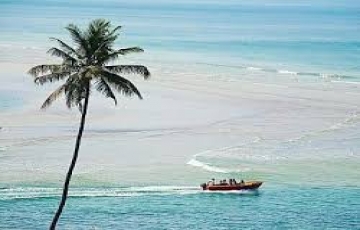 Best 3 Days 2 Nights TARKALI Trip Package