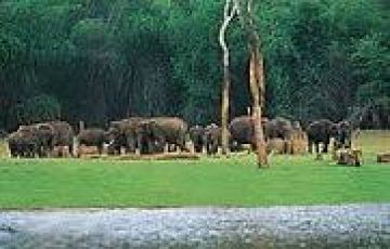 Best 5 Days 4 Nights Alleppey Family Vacation Package