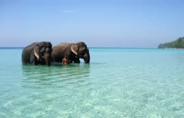 Magical Havelock Island Island Tour Package for 6 Days from Port Blair