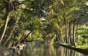 Ecstatic 9 Days Kochi to Munnar Trip Package