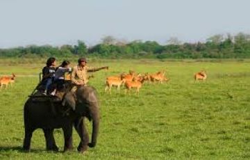 Kajiranga Tour Package for 6 Days 5 Nights from Guwahati