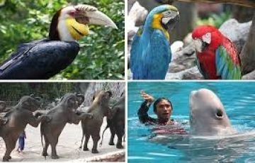 Ecstatic 6 Days 5 Nights Malaysia and Thailand Vacation Package