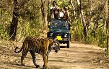 Friends Tour Package for 3 Days 2 Nights