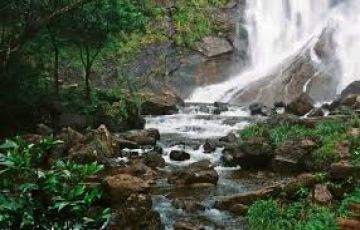 2 Days 1 Night Bengaluru to Chikmagalur Trip Package