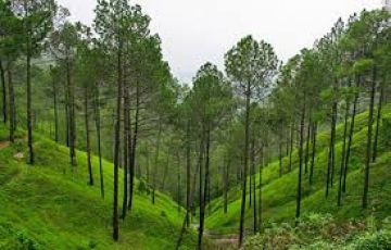 Memorable 3 Days Haldwani to Ranikhet Trip Package