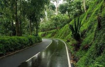 Magical 3 Days 2 Nights Yercaud Lake Holiday Package