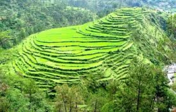 nainital ranikhet almora kausani map