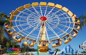 Beautiful 11 Days 10 Nights Goldcoast Holiday Package