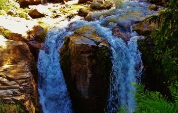 Experience 7 Days 6 Nights Manali Hill Stations Trip Package