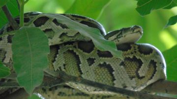 3 Days Rishikesh to Haridwar Nature Tour Package