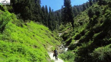 Experience 11 Days 10 Nights Didna Village Honeymoon Holiday Package