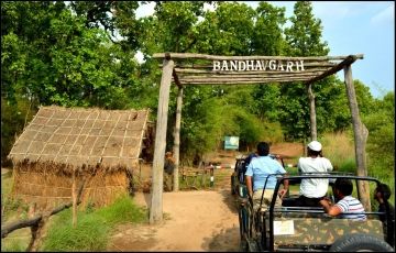 Bandhavgarh National Park with Madhya Pradesh