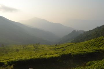 Amazing 4 Days Munnar, Alleppey and Kochi Friends Trip Package