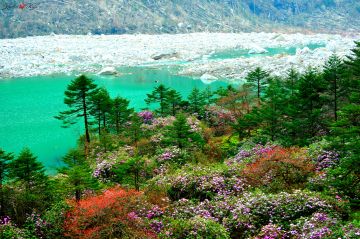 9 Nights /10 Days North East Tour