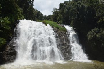 7 Days 6 Nights Coorg Forest Trip Package