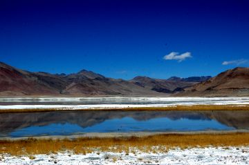 Beautiful 7 Days NUBRA VALLEY Wildlife Tour Package
