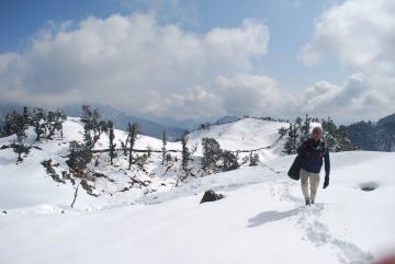 Best 4 Days Kasardevi Wildlife Vacation Package