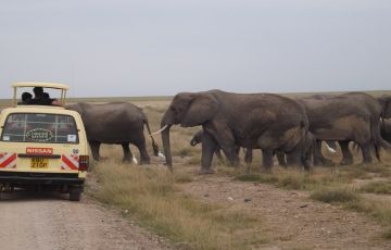 Magical 5 Days 4 Nights Masai Mara Family Holiday Package