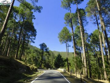 6 Days 5 Nights Dehradun to Hargon Weekend Getaways Trip Package