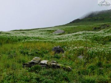 2 Days 1 Night RisikeshHaridwar to Chenap Valley Trek Trip Package